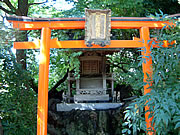 徳藏院の藤塚稲荷